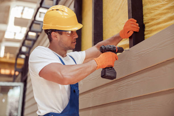 Best Siding Painting and Refinishing  in Platte City, MO